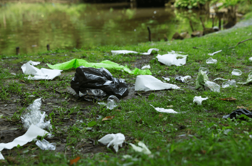 litter and needles left in park - safezone cleaning