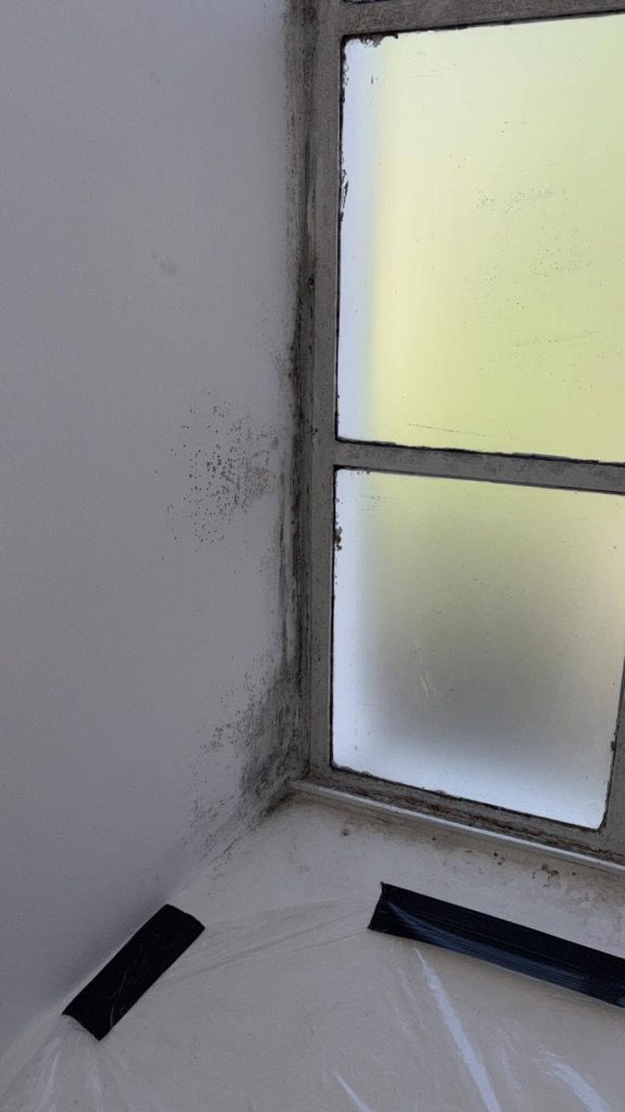 Mould Removal from Listed Building in Warwick, Safezone cleaning services