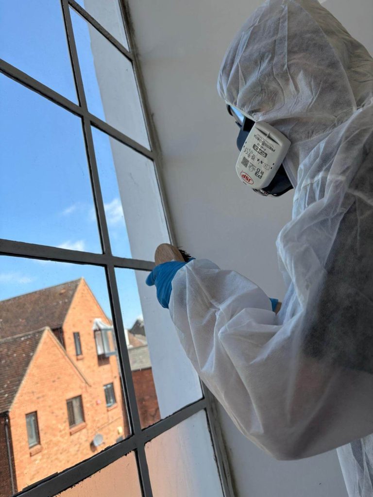 mould removal from listed building in Warwick