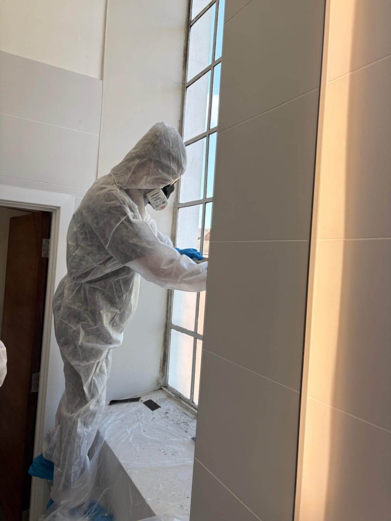 Safezone tackling mould removal at a listed office building in Warwick